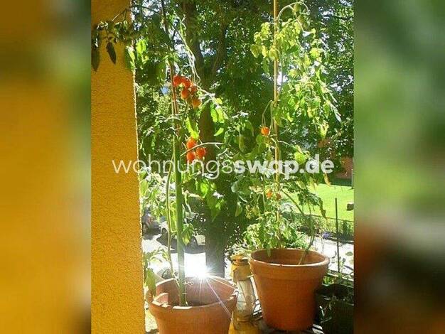 Studio zur Miete Tauschwohnung 410 € 2 Zimmer 57 m² 1. Geschoss Pankow Berlin 13187