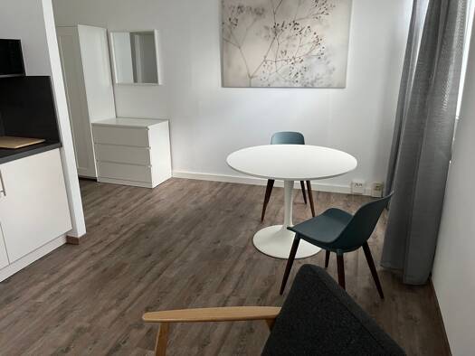 Wohnung zur Miete 510 € 1 Zimmer 29,4 m² EG frei ab sofort Innenstadt Fürth 90762