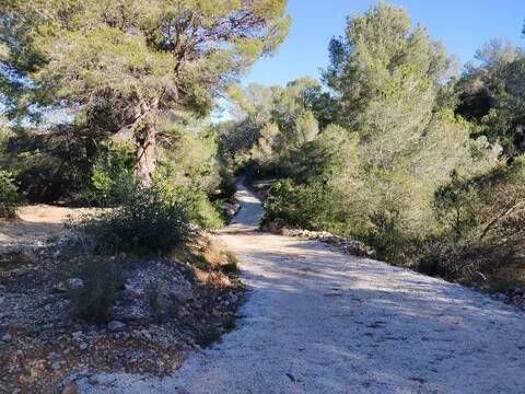 Grundstück zum Kauf 55.000 € Camino Del Llop, 46 Alcanar 43530