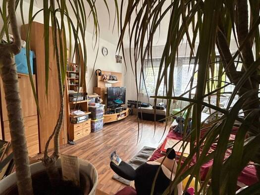 Wohnung zur Miete 460 € 1 Zimmer 42,5 m² Geschoss 1/3 frei ab 01.01.2026 Merianstraße 12 Trier-Nord Trier 54292