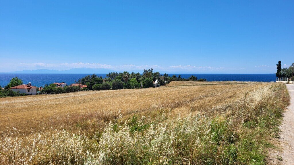 Land-/Forstwirtschaft zum Kauf 175.000 € 4.283 m²<br/>Grundstück Chalkidiki