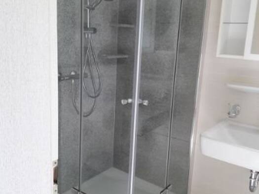 Wohnung zur Miete 450 € 2 Zimmer 43 m² frei ab 01.04.2026 Nittel 54453