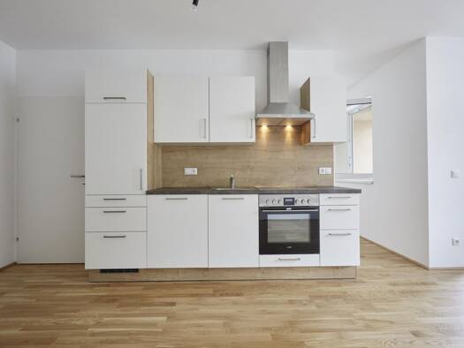 Wohnung zur Miete 500 € 1,5 Zimmer 39 m² 2. Geschoss Wiener Straße 43 Lustenau Linz 4020