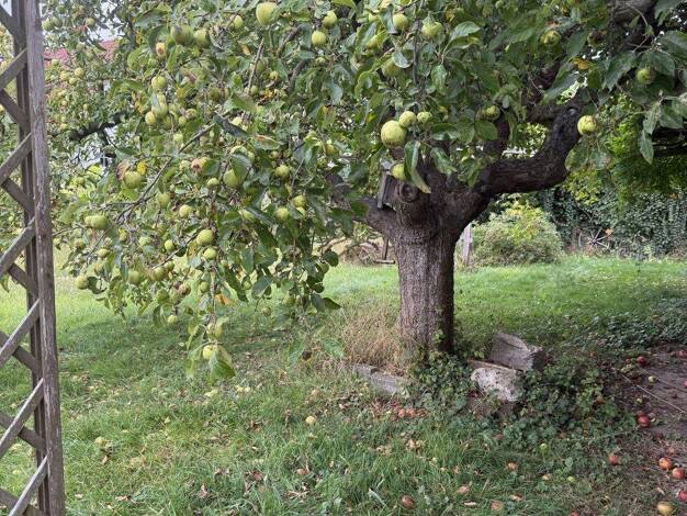 Grundstück zum Kauf 65.000 € 450 m² Grundstück Otterwisch 04668