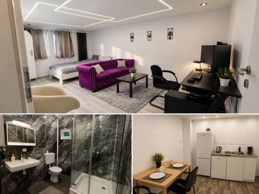 Studio zur Miete 450 € 1 Zimmer 47 m² 2 Geschosse frei ab 15.08.2026 Oberplag Asbach 53567