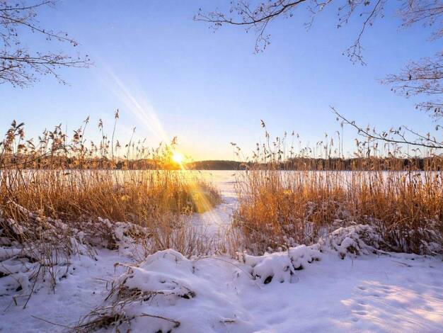 Doppelhaushälfte zum Kauf provisionsfrei 450.000 € 5 Zimmer 160 m² 200 m² Grundstück Gröben Ludwigsfelde 14974