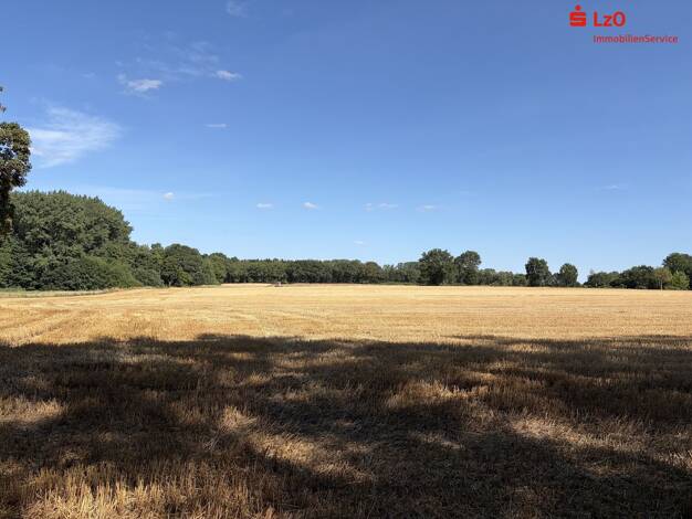 Land-/Forstwirtschaft zum Kauf 26.148 m² Grundstück Rechterfeld Visbek 49429