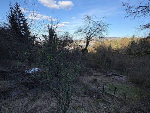 Freizeitgrundstück zum Kauf 31.900 € 1.454 m² Grundstück Wangen Stuttgart 70327