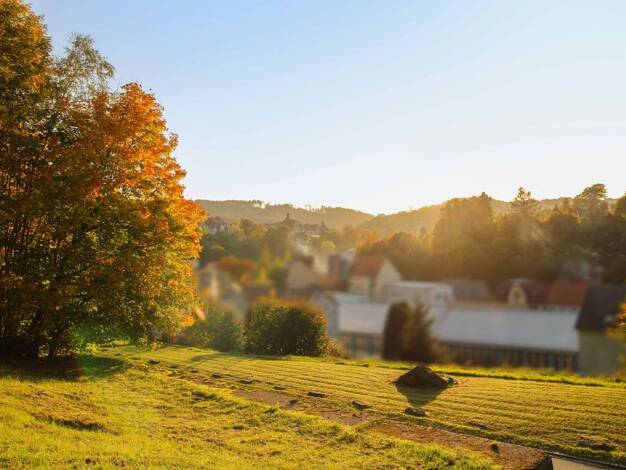 Grundstück zum Kauf provisionsfrei 30.000 € 2.374 m² Grundstück Sebnitz 01855