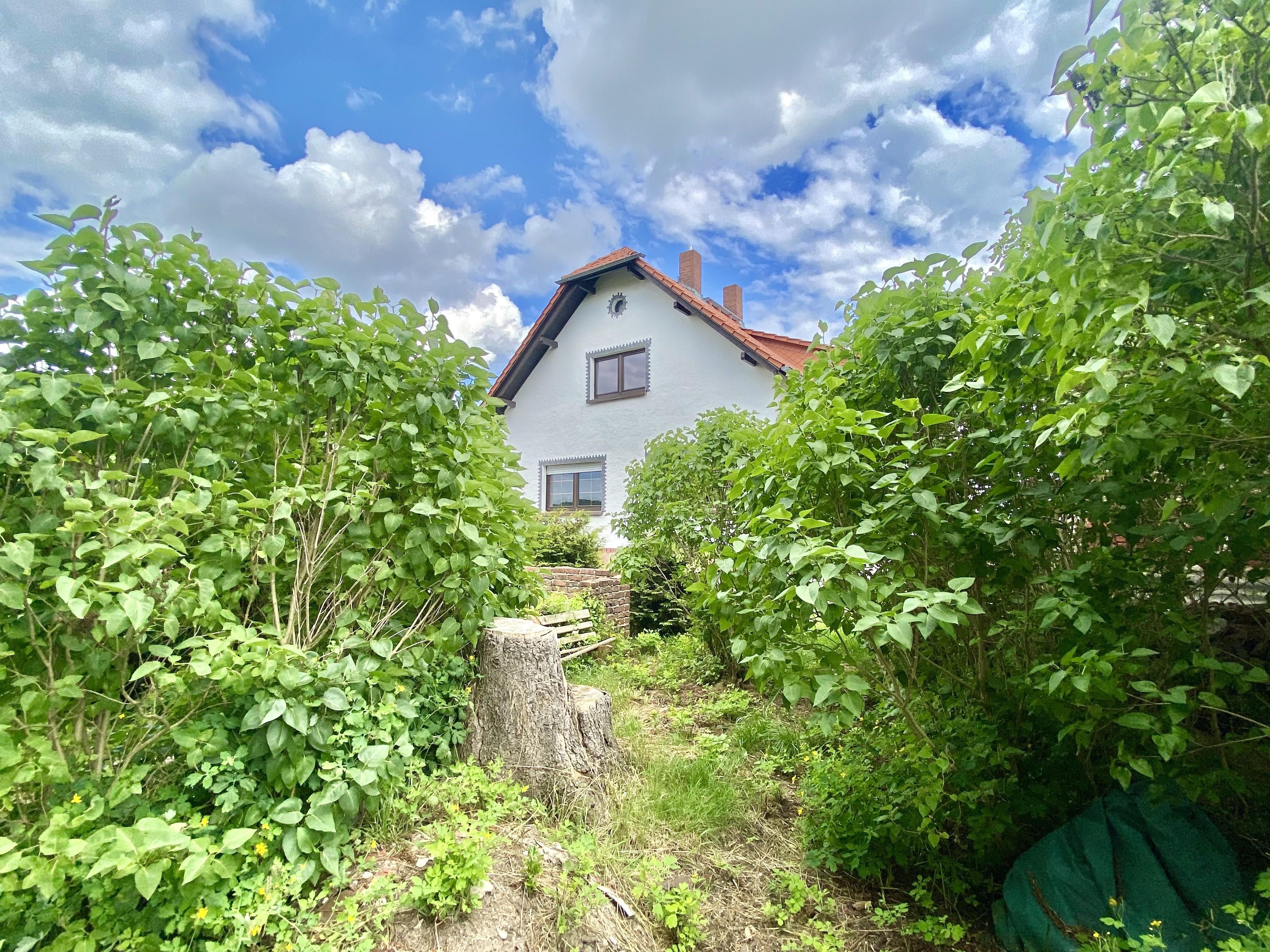 Einfamilienhaus zum Kauf 110.000 € 5 Zimmer 110 m²<br/>Wohnfläche 876 m²<br/>Grundstück Langenleuba-Oberhain Penig 09322