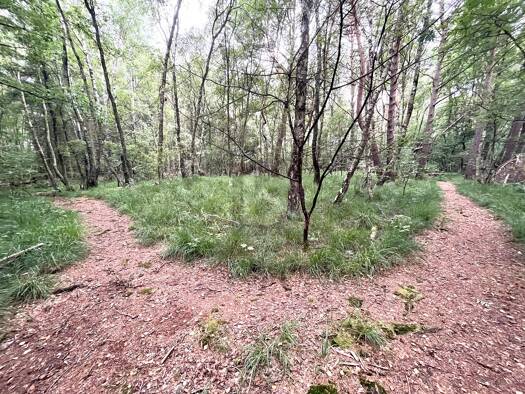 Freizeitgrundstück zum Kauf 100.000 € 5.634 m² Grundstück Waldenau - Datum 25421