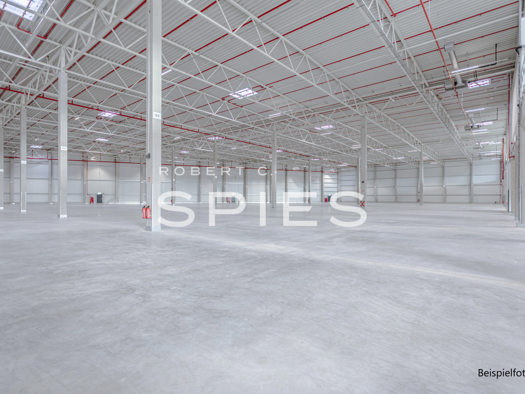 Produktionshalle zur Miete provisionsfrei 5.030 m² Lagerfläche teilbar ab 5.030 m² Vechta 49377