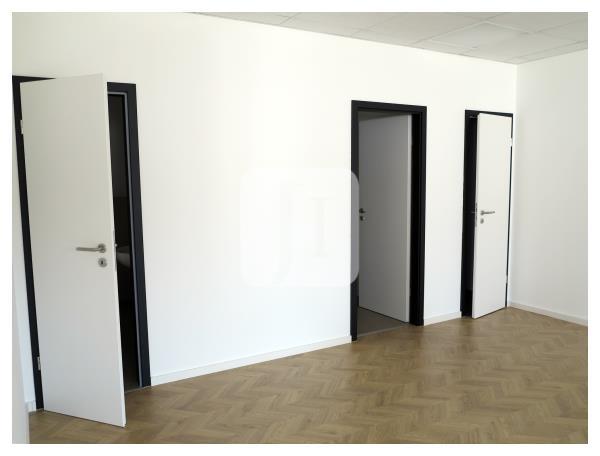 Bürofläche zur Miete 243 m²<br/>Bürofläche Bliedersdorf 21640