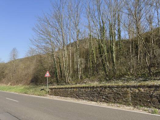 Grundstück zum Kauf 49.500 € 531 m² Grundstück Bullay 56859