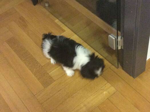 Haus zum Kauf - Erstbezug 567.000 € 4 Zimmer 100 m² Dorfstr. 1 Deibow Milow 19300