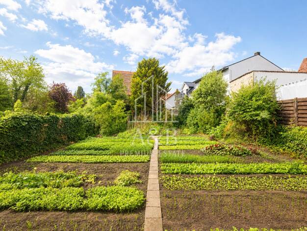 Einfamilienhaus zum Kauf 799.000 € 6 Zimmer 173 m² 665 m² Grundstück Viernheim Viernheim 68519