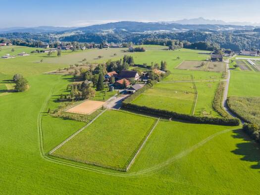 Haus zum Kauf 7.200.000 € 13 Zimmer 568 m² 104.314 m² Grundstück Bischofszell 9220