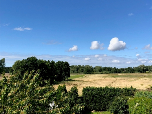 Praxis zum Kauf 1.000 € 14 Zimmer 530 m² Bürofläche Samtens 18573