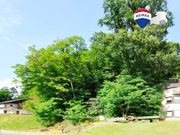 Grundstück zum Kauf 99.000 € 3.991 m² Grundstück Reimsbach Beckingen 66701