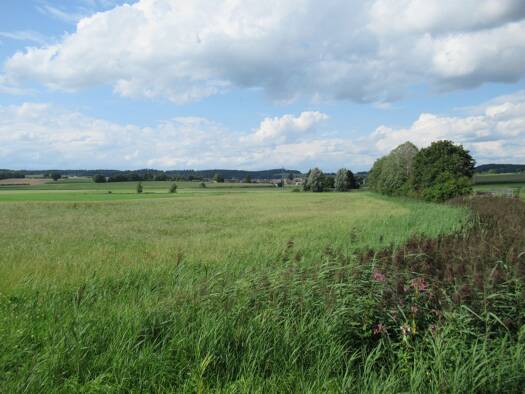 Landwirtschaftliche Fläche zum Kauf 150.000 € 19.761 m² Grundstück Schloßstr. 1 Horgau 86497
