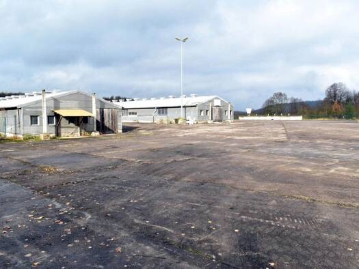 Produktionshalle zur Miete 4.784 m² Lagerfläche teilbar ab 500 m² Deubachshof Krauthausen 99819