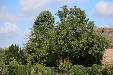 Grundstück zum Kauf 675 m² Grundstück Strümp Meerbusch 40670