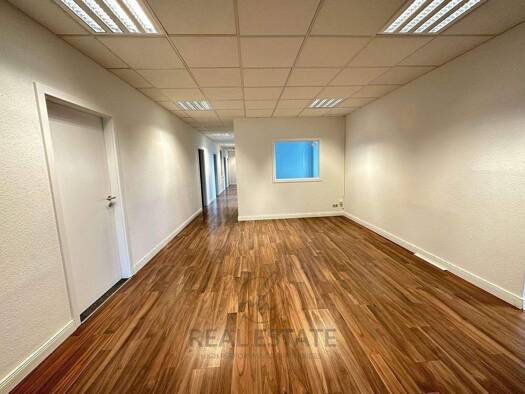 Bürofläche zur Miete 10,90 € 230 m² Bürofläche Borgfelde Hamburg 20537