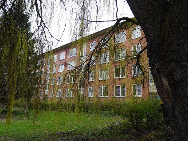 Wohnung zur Miete