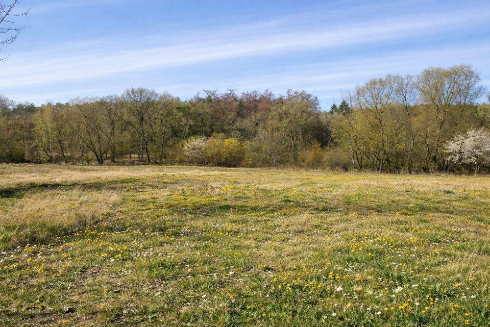Immobilie in Lütow - In der Natur wohnen und doch nah am Ostseebad sein? In Lütow/Neuendorf gar kein Problem! - Bild 1