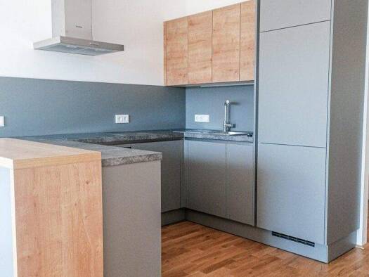 Wohnung zur Miete 623 € 1 Zimmer 41,8 m² 2. Geschoss frei ab sofort Eggelsberg 5142