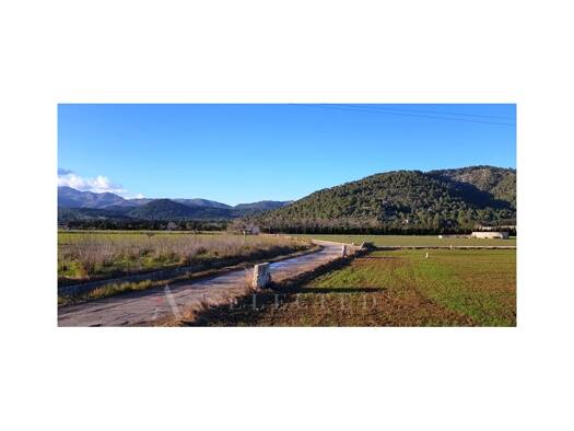 Grundstück zum Kauf 103.000 € 10.917 m² Grundstück Sa Pobla 07420