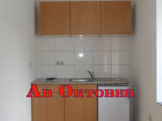 Wohnung zur Miete 230 € 2 Zimmer 45 m² EG Leonhardtstraße 2 Greiz 07973