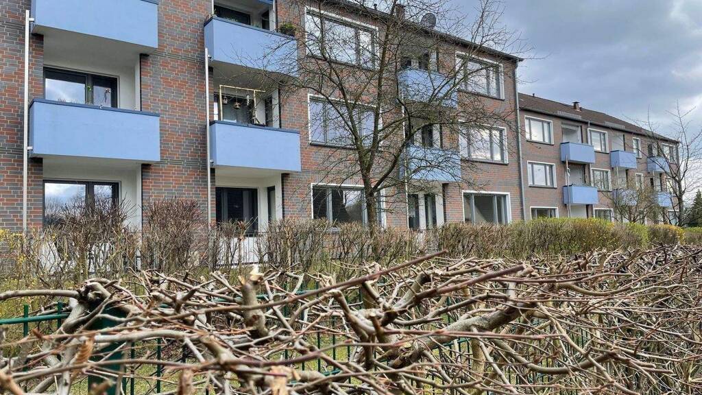 Studio zur Miete 494 € 1 Zimmer 35,3 m² EG frei ab sofort Haidkoppelweg 1 d Reinbek 21465