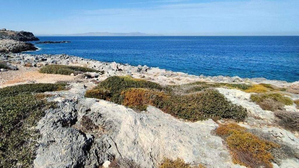 Grundstück zum Kauf 2.400.000 € 16.500 m² Grundstück Kreta Stavros 731 00