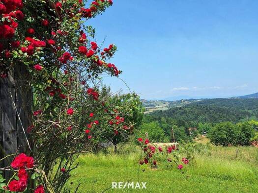 Einfamilienhaus zum Kauf 349.000 € 3 Zimmer 66 m² 1.836 m² Grundstück Kitzeck im Sausal 8442