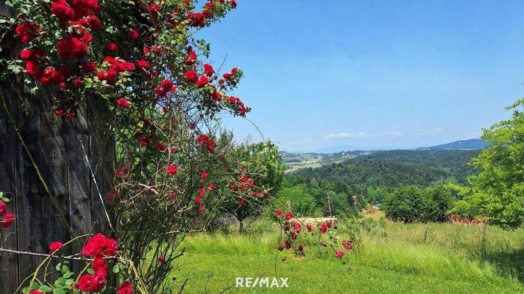 Einfamilienhaus zum Kauf 349.000 € 3 Zimmer 66 m² 1.836 m² Grundstück Kitzeck im Sausal 8442