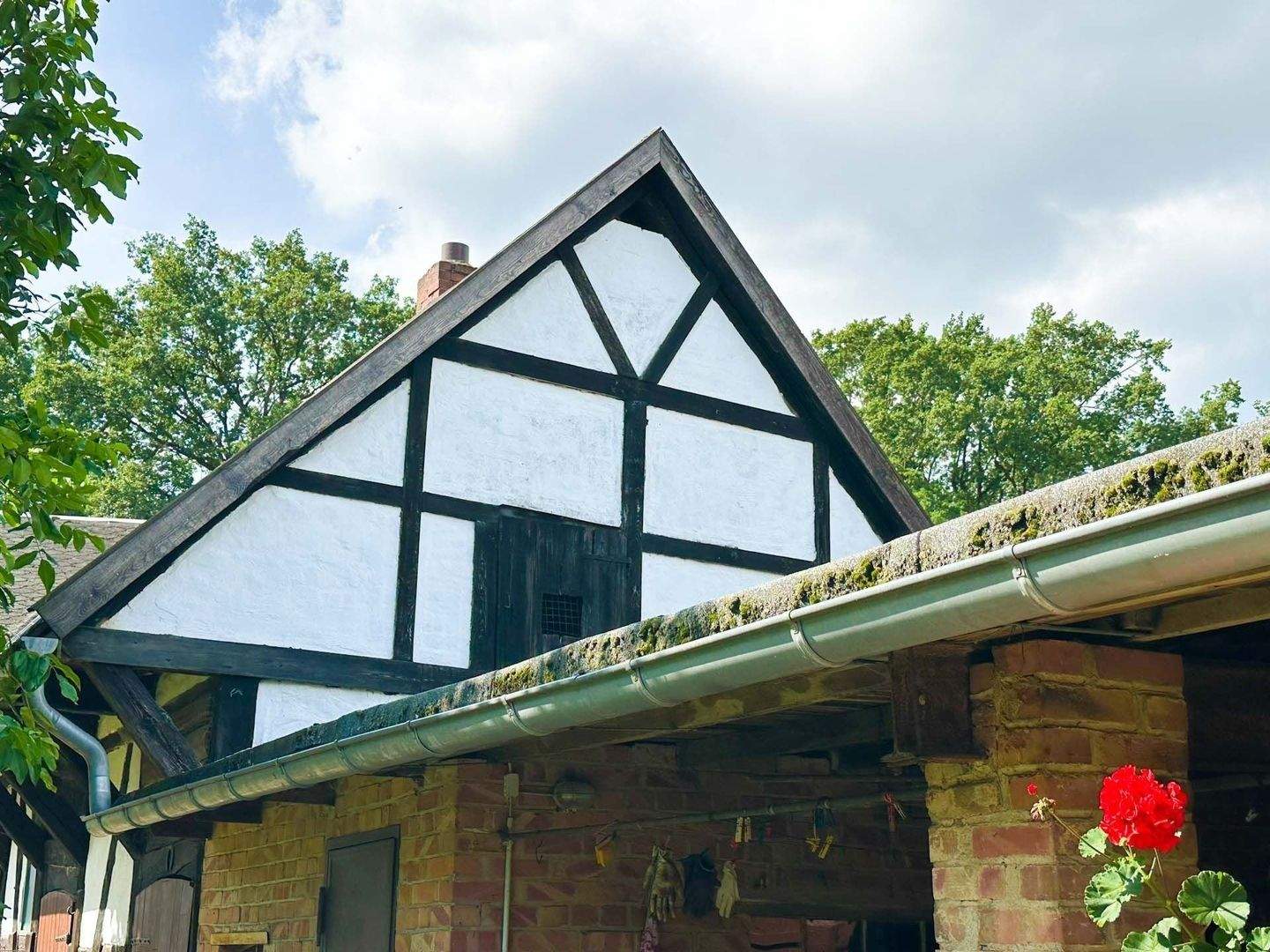 Einfamilienhaus zum Kauf - Ansicht 4