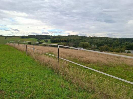 Bauernhaus zum Kauf 475.000 € 160 m² 35.408 m² Grundstück Gieleroth Altenkirchen (Westerwald) 57610