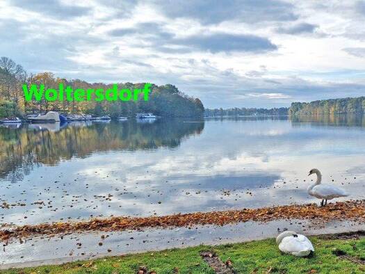 Grundstück zum Kauf 1.627 m² Grundstück Woltersdorf 15569