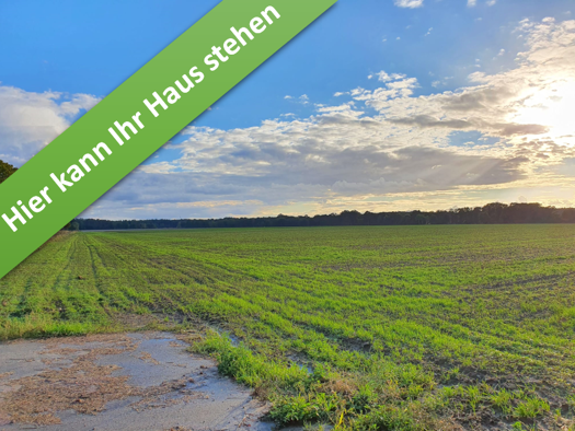 Einfamilienhaus zum Kauf - Erstbezug provisionsfrei 375.750 € 5 Zimmer 142 m² 657 m² Grundstück Südring Rötgesbüttel 38531