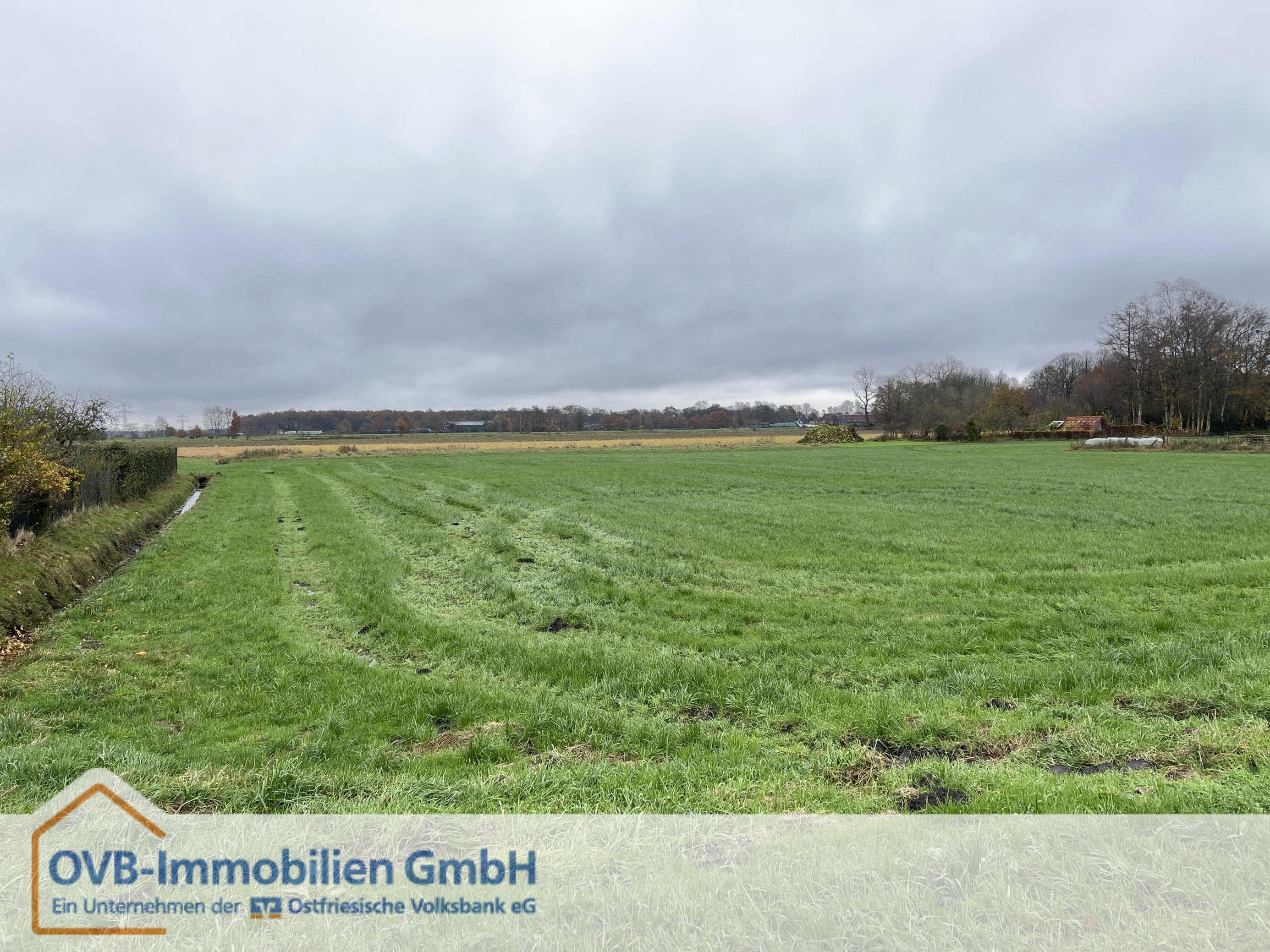 Land-/Forstwirtschaft zum Kauf 39.000 € 9.352 m²<br/>Grundstück Wymeer Bunde 26831