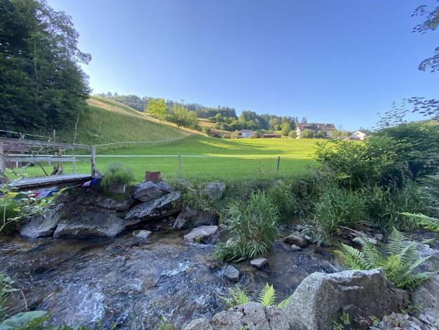 Mehrfamilienhaus zum Kauf provisionsfrei 499.000 € 8 Zimmer 180 m² 1.279 m² Grundstück Malsburg 79429