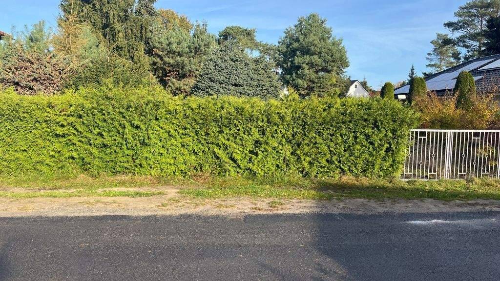 Grundstück zum Kauf 252.000 € 818 m² Grundstück Am Sportplatz 30 Mahlow Blankenfelde-Mahlow 15831