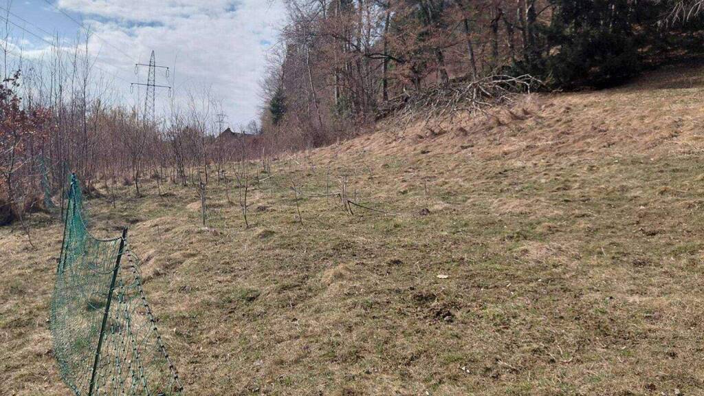 Grundstück zum Kauf 83.400 € 600 m² Grundstück Velden am Wörther See 9220