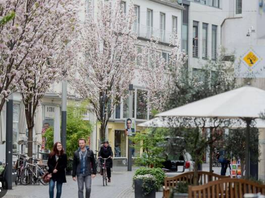 Ladenfläche zur Miete provisionsfrei 1.950 € 1 Zimmer Friedrichstraße 42 Zentrum Bonn 53111