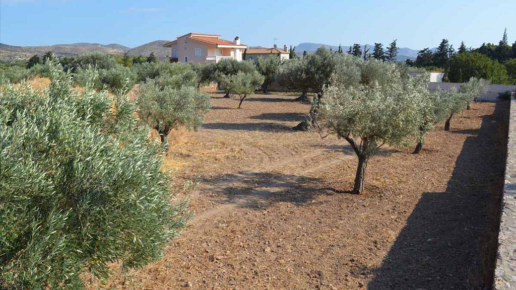 Land-/Forstwirtschaft zum Kauf 152.000 € 3.000 m² Grundstück Attika