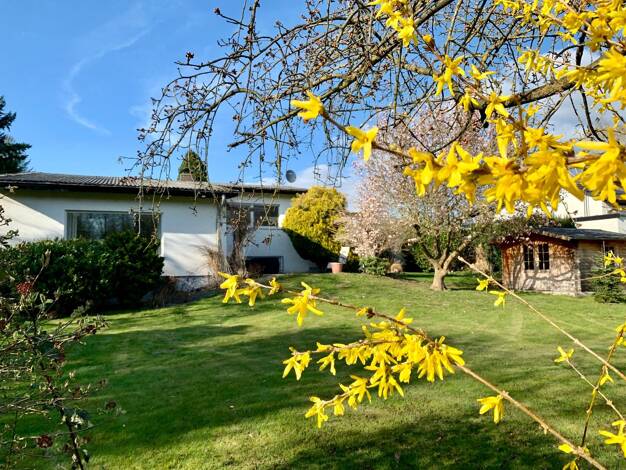 Haus zum Kauf 725.000 € 5 Zimmer 185 m² 1.000 m² Grundstück frei ab sofort Harpertshausen Babenhausen 64832