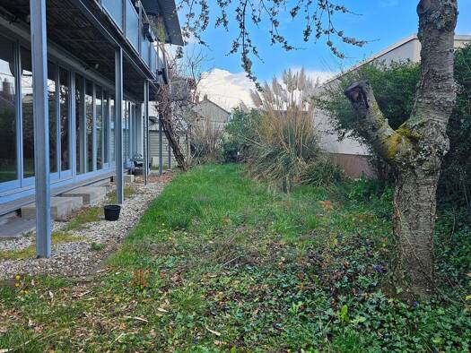 Mehrfamilienhaus zum Kauf 698.000 € 6 Zimmer 188 m² 469 m² Grundstück frei ab sofort Wachenheim an der Weinstraße 67157