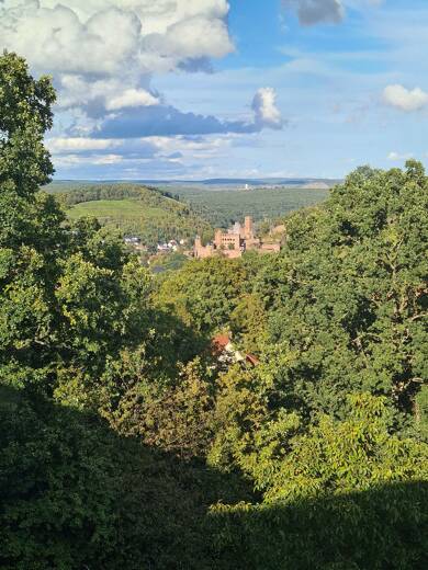 Wohnung zur Miete 730 € 4 Zimmer 81 m² Geschoss 4/4 frei ab 01.10.2025 Wartberg Wertheim 97877