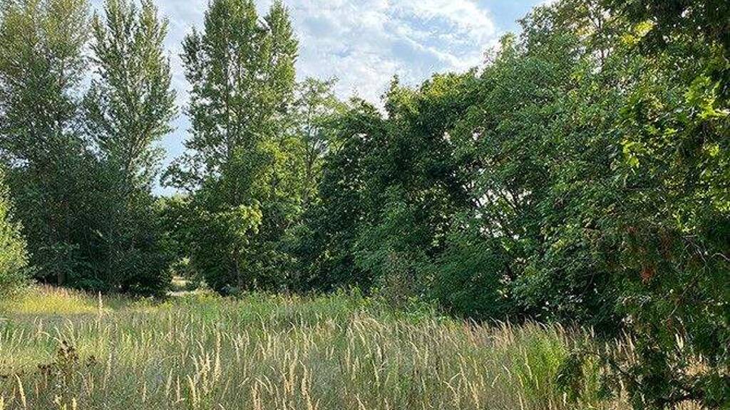 Grundstück zum Kauf 272.800 € 496 m² Grundstück Plötzin Werder OT Phöben 14542